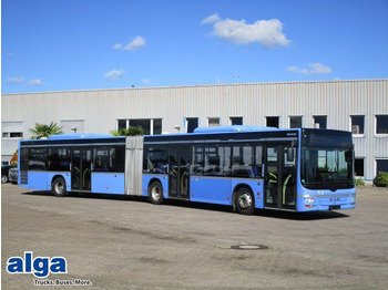 MAN Lion's City Gelenkbus