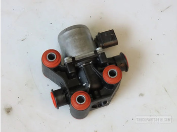 DAF Auspuff/ Abgasanlage