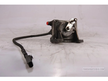 MERCEDES-BENZ Auspuff/ Abgasanlage