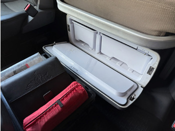 Abrollkipper SCANIA R490     8x4: das Bild 4