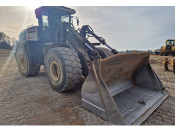 TEREX Radlader