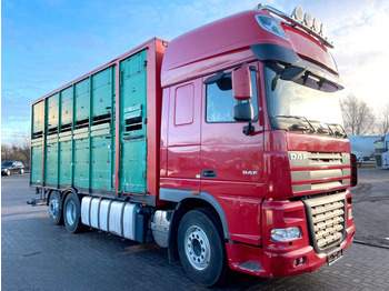 DAF XF 105 460 Tiertransporter LKW