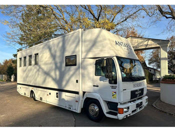 MAN 10.224 Pferdetransporter