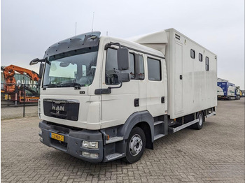 MAN TGL 12.180 Pferdetransporter