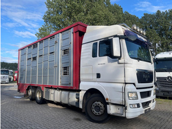 MAN TGX 26.400 Tiertransporter LKW