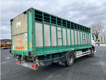 Pferdetransporter DAF CF410: das Bild 3