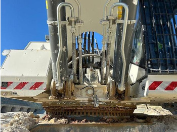 Bagger Liebherr R9100: das Bild 4