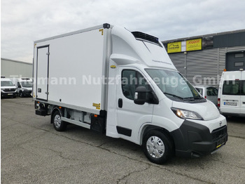 TOYOTA Proace Kühltransporter