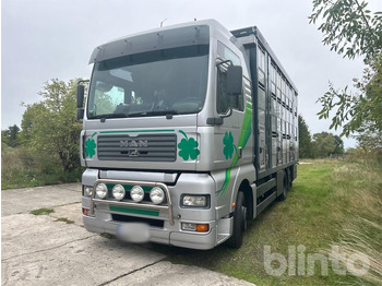 MAN TGA Tiertransporter LKW