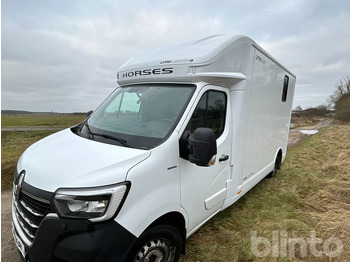 RENAULT Pferdetransporter