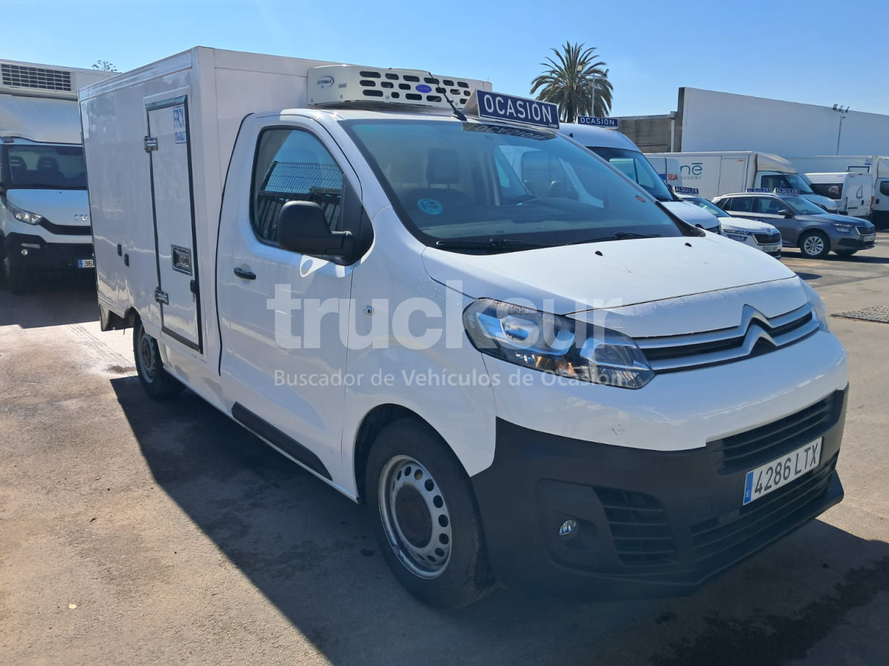 Koffer Transporter CITROEN JUMPY FRC-X: das Bild 10