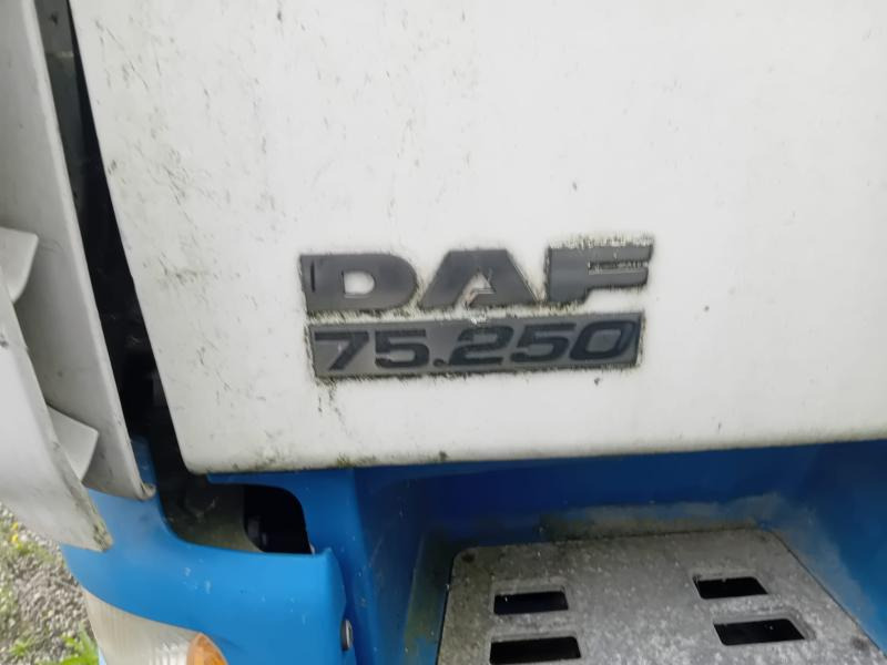 DAF CF 75.250 - Koffer LKW: das Bild 2 DAF CF 75.250 - Koffer LKW: das Bild 2
