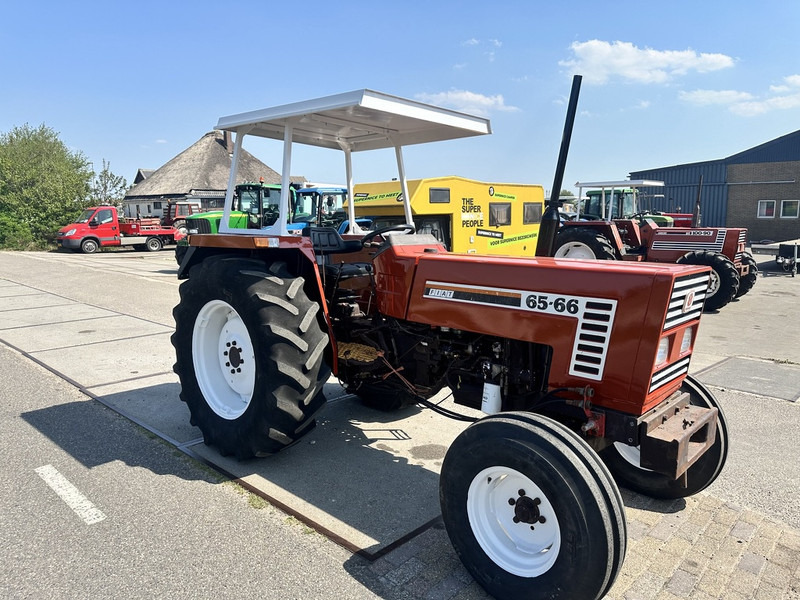 Fiat 65-66 - Traktor: das Bild 3 Fiat 65-66 - Traktor: das Bild 3