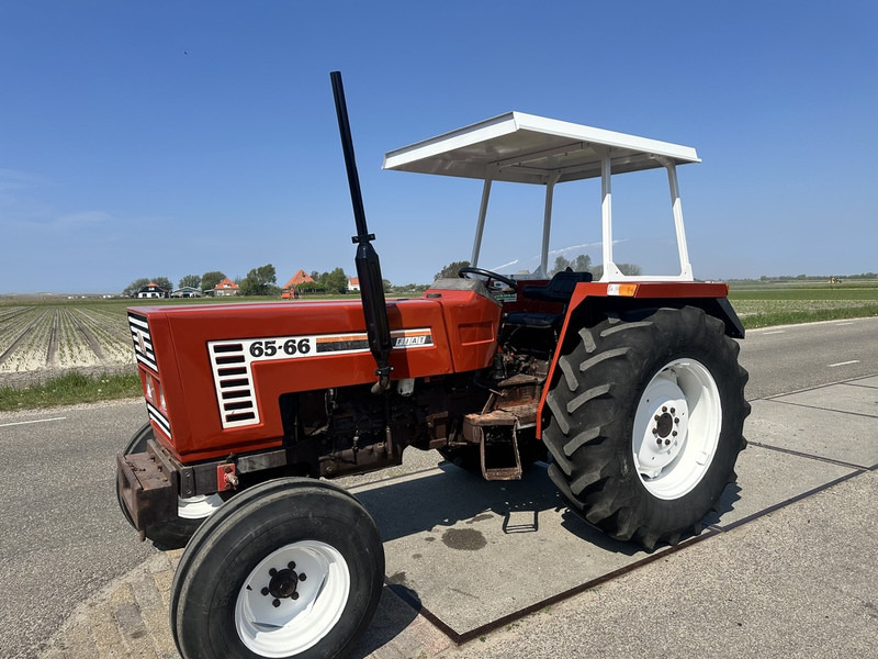 Fiat 65-66 - Traktor: das Bild 1 Fiat 65-66 - Traktor: das Bild 1