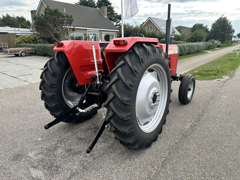 Traktor neu kaufen Massey Ferguson 290: das Bild 10