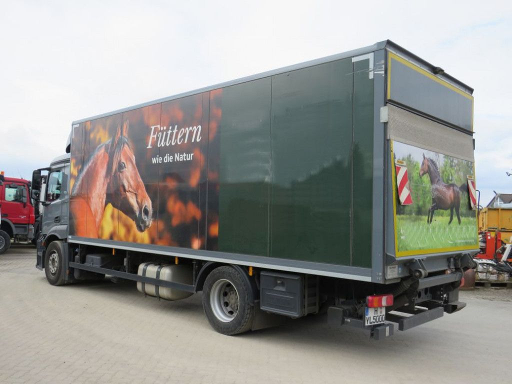 Mercedes-Benz Antos 1830 L nR 4x2 Standardkoffer LBW LBW 2to+F - Koffer LKW: das Bild 3 Mercedes-Benz Antos 1830 L nR 4x2 Standardkoffer LBW LBW 2to+F - Koffer LKW: das Bild 3