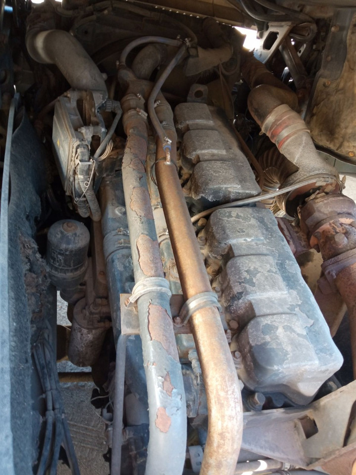 Sattelzugmaschine RENAULT Magnum 480: das Bild 9 Sattelzugmaschine RENAULT Magnum 480: das Bild 9