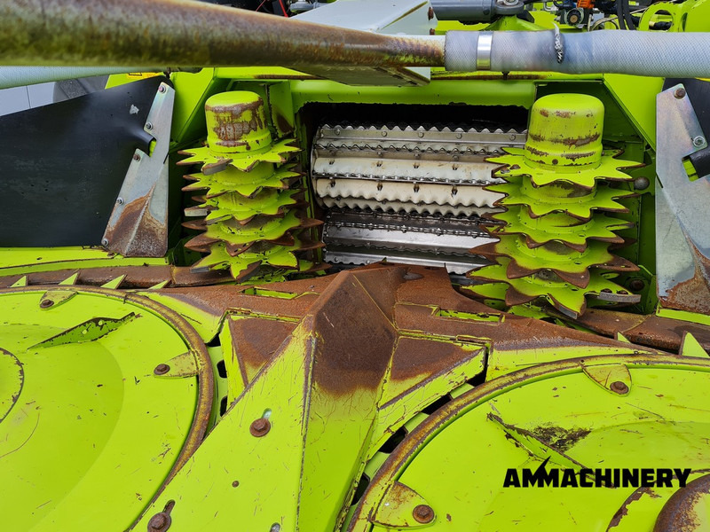 Pflückvorsatz für Mähdrescher Für die Beförderung von Lebensmittel Claas Orbis 600SD rotary corn header: das Bild 8