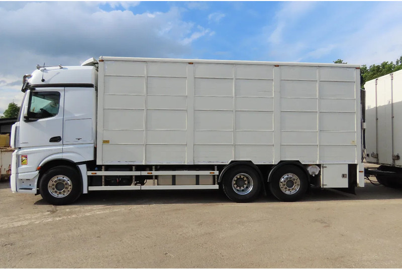 Mercedes-Benz Actros 2551 BERDEX 3 decks, All options + Berdex 12/ 2007 - Tiertransporter LKW: das Bild 4 Mercedes-Benz Actros 2551 BERDEX 3 decks, All options + Berdex 12/ 2007 - Tiertransporter LKW: das Bild 4
