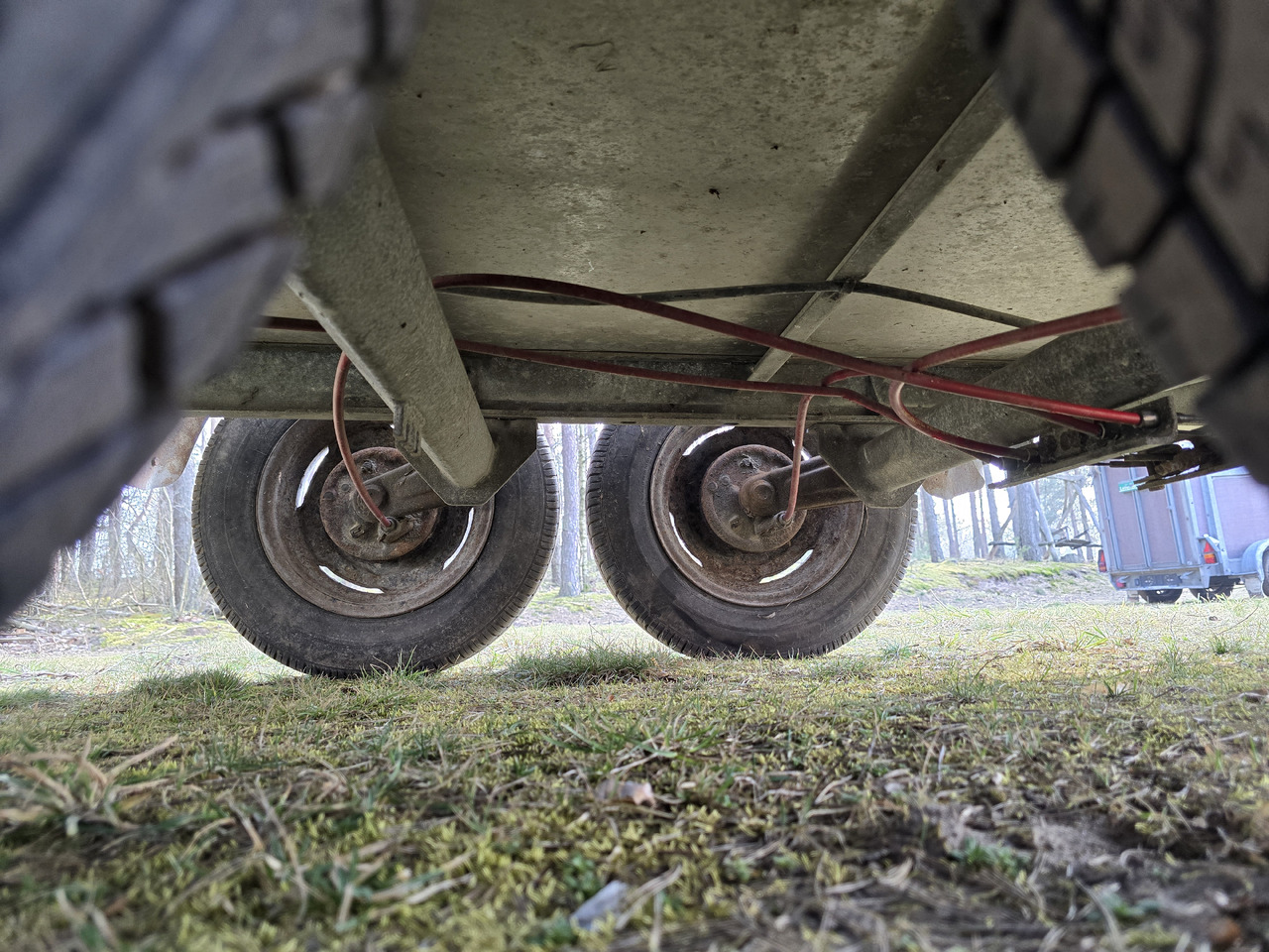 Tiertransporter Anhänger PONGRATZ PA 310 T: das Bild 6 Tiertransporter Anhänger PONGRATZ PA 310 T: das Bild 6