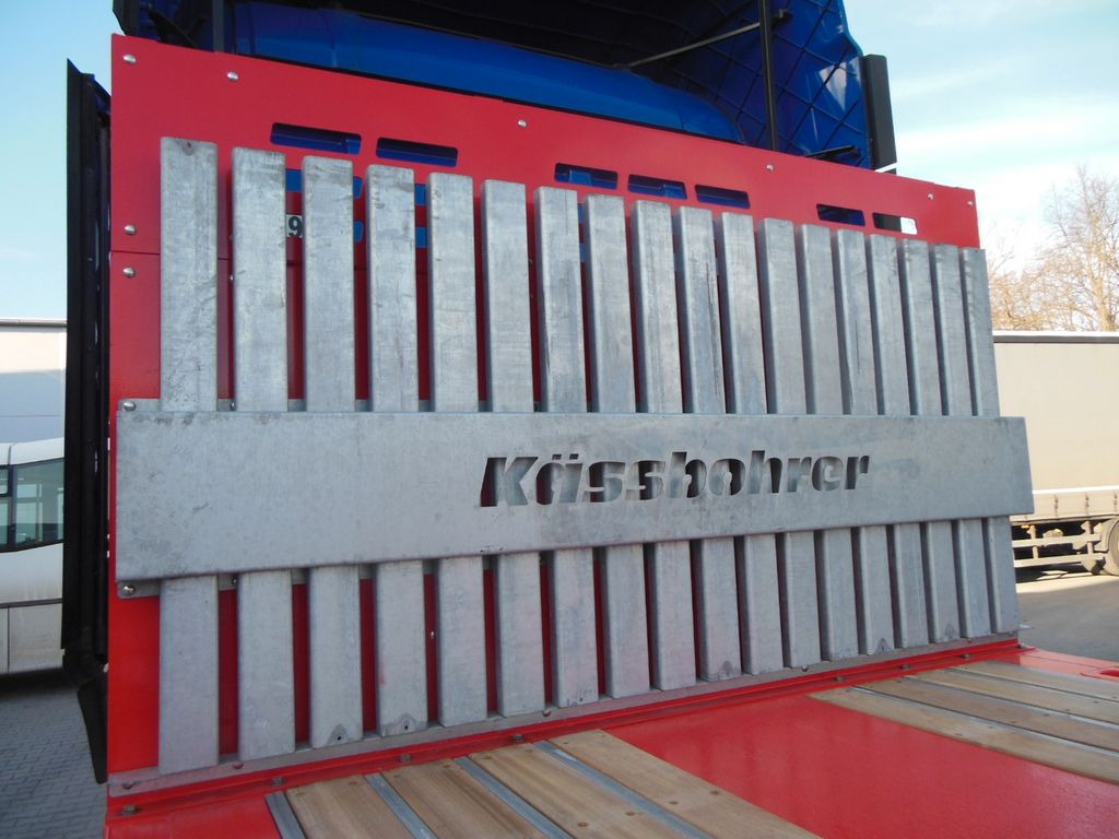 Tieflader Auflieger Kässbohrer K.SPA.M3, PLATTFORM MEGA TELESKOP 7M, SOFORT!!!: das Bild 28