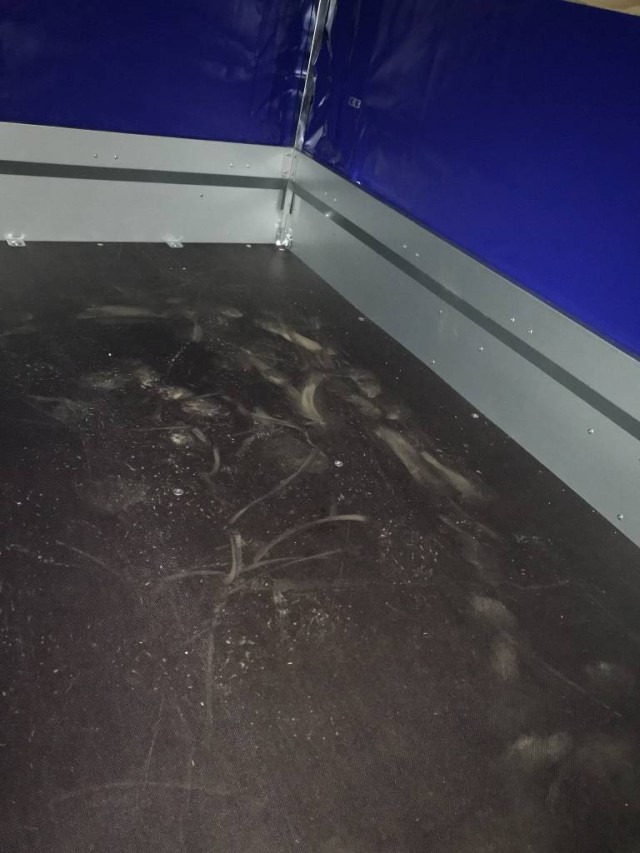 Humbaur Steely mit Hochplane 140 cm, 750 kg 2050x1095x300mm - PKW Anhänger: das Bild 4 Humbaur Steely mit Hochplane 140 cm, 750 kg 2050x1095x300mm - PKW Anhänger: das Bild 4