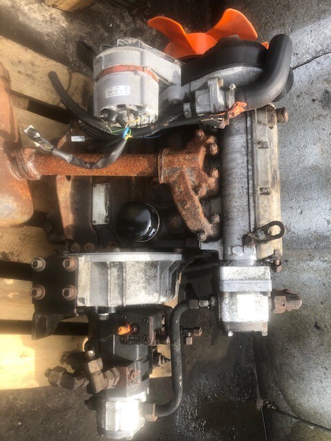 Lombardii LDW 1003/B1 - Silnik - Motor für Landmaschine: das Bild 1 Lombardii LDW 1003/B1 - Silnik - Motor für Landmaschine: das Bild 1