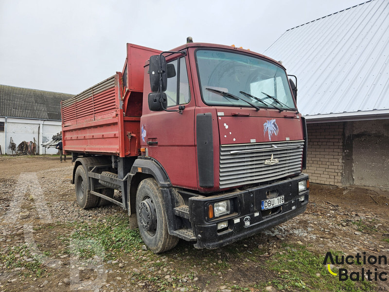 Maz 555132 - Kipper: das Bild 2 Maz 555132 - Kipper: das Bild 2