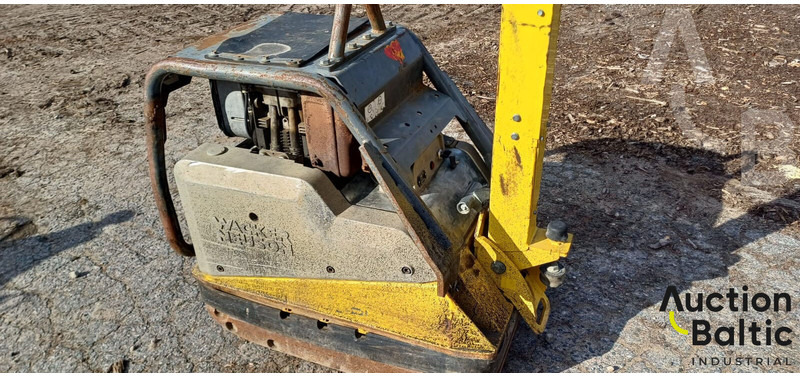 WACKER NEUSON DPU6055 - Rüttelplatte: das Bild 4 WACKER NEUSON DPU6055 - Rüttelplatte: das Bild 4