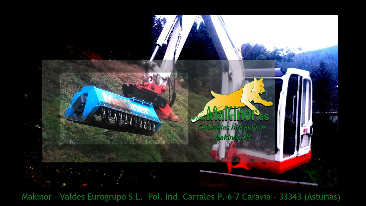 Makinor DH - Forstmulcher: das Bild 4 Makinor DH - Forstmulcher: das Bild 4