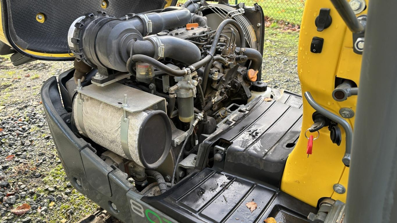 Minibagger neu kaufen Wacker 803: das Bild 9