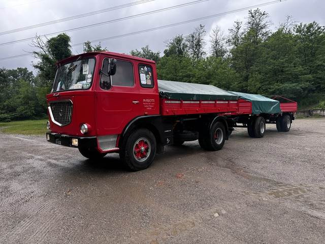 Lancia Esadelta C402 020 - Pritsche LKW: das Bild 1 Lancia Esadelta C402 020 - Pritsche LKW: das Bild 1