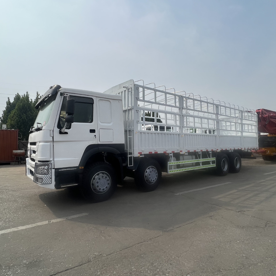 Sinotruk HOWO - Pritsche LKW: das Bild 1 Sinotruk HOWO - Pritsche LKW: das Bild 1