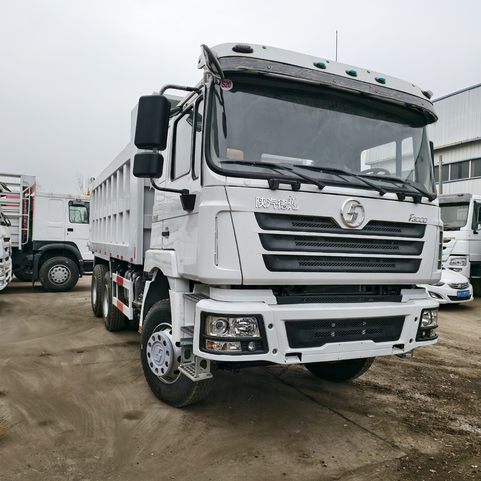SHACMAN F3000 6*4 DUMP TRUCK - Kipper: das Bild 1 SHACMAN F3000 6*4 DUMP TRUCK - Kipper: das Bild 1