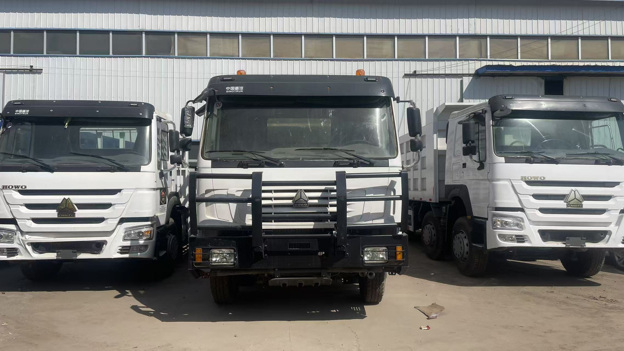 SINOTRUK HOWO 8*4 WITH FENCE 12 WHEELS TIRES 6*4 371 375 380 400 420 HP - Tiertransporter LKW: das Bild 1 SINOTRUK HOWO 8*4 WITH FENCE 12 WHEELS TIRES 6*4 371 375 380 400 420 HP - Tiertransporter LKW: das Bild 1