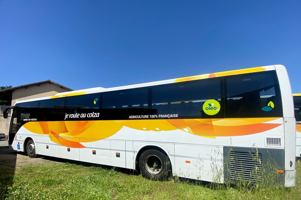 TEMSA SAFARI RD - Reisebus: das Bild 4 TEMSA SAFARI RD - Reisebus: das Bild 4