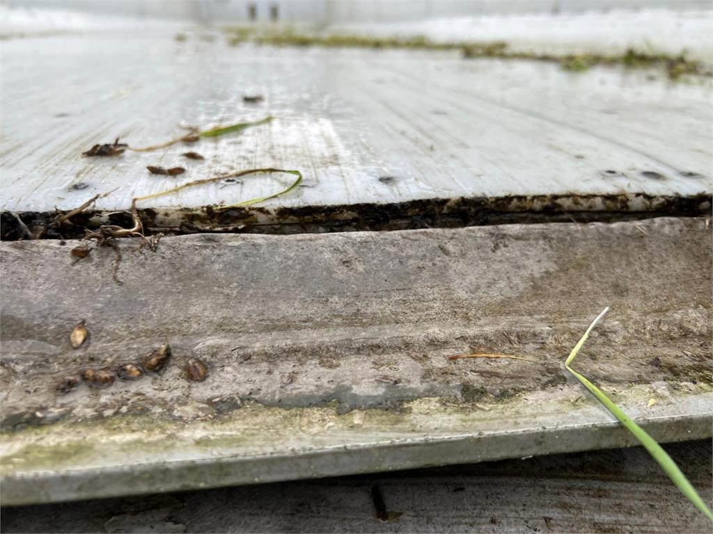 Kipper Auflieger Langendorf SKA36 60m3 alu kasse med plastindlæg: das Bild 10