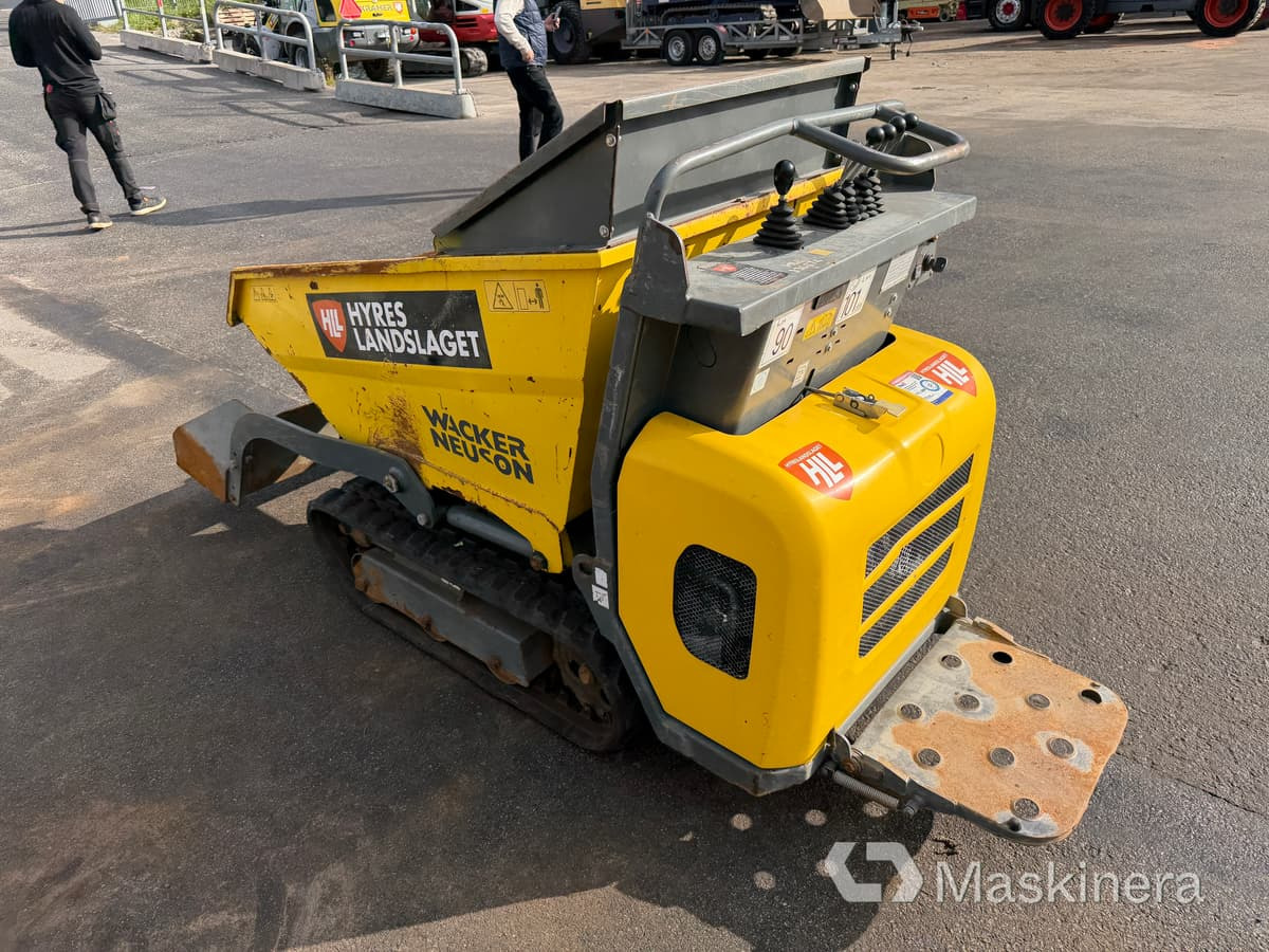 Raupendumper Banddumper Wacker Neuson DT08D: das Bild 7