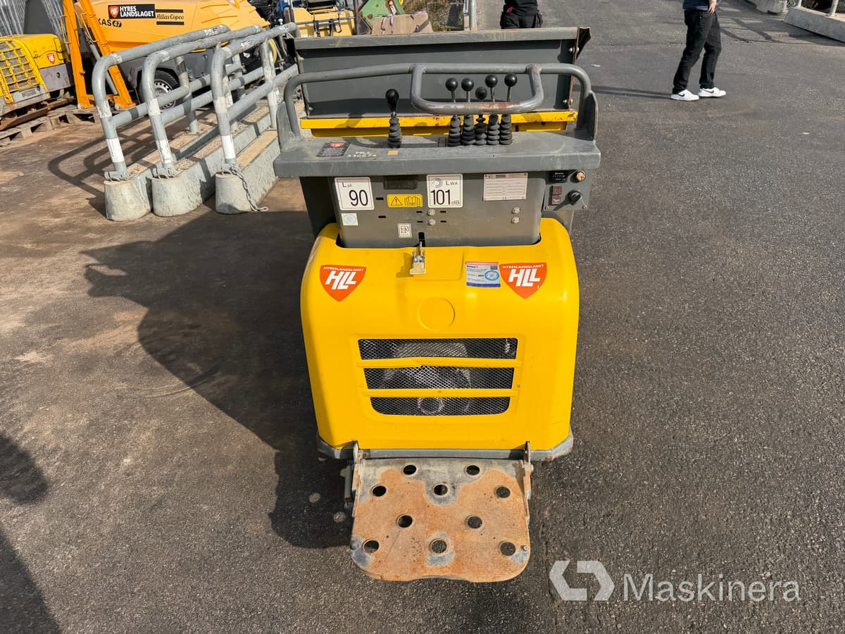 Raupendumper Banddumper Wacker Neuson DT08D: das Bild 6