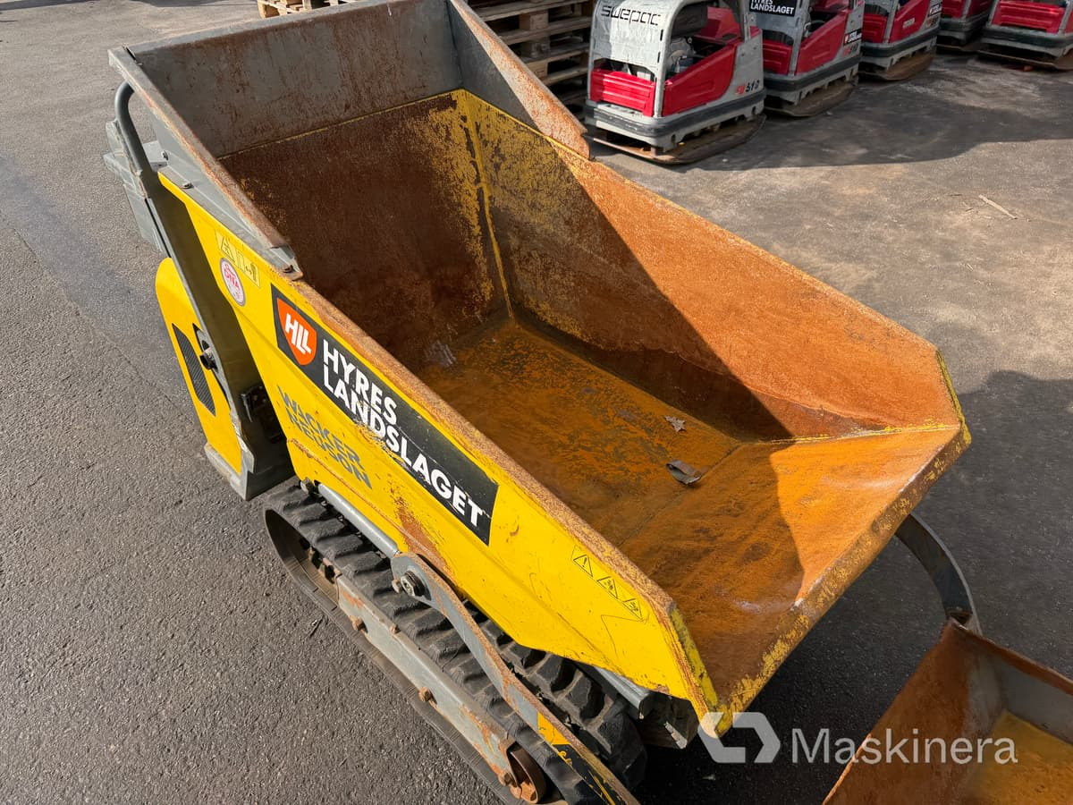 Raupendumper Banddumper Wacker Neuson DT08D: das Bild 16