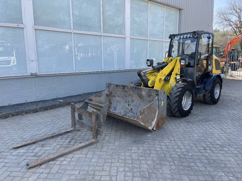 WACKER NEUSON WL 44 2017 CE - Radlader: das Bild 2 WACKER NEUSON WL 44 2017 CE - Radlader: das Bild 2