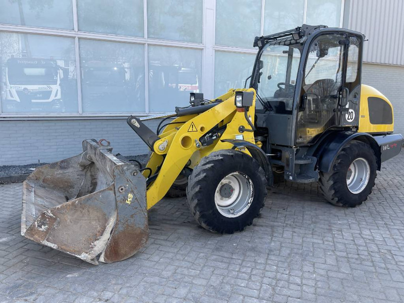 WACKER NEUSON WL 44 2017 CE - Radlader: das Bild 1 WACKER NEUSON WL 44 2017 CE - Radlader: das Bild 1