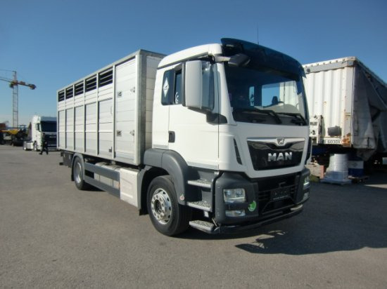 MAN TGS 18.420 Tiertransporter,Euro 6, Manual Seilwinde, el. Ladebordwand Voll Luft - Pferdetransporter: das Bild 3 MAN TGS 18.420 Tiertransporter,Euro 6, Manual Seilwinde, el. Ladebordwand Voll Luft - Pferdetransporter: das Bild 3