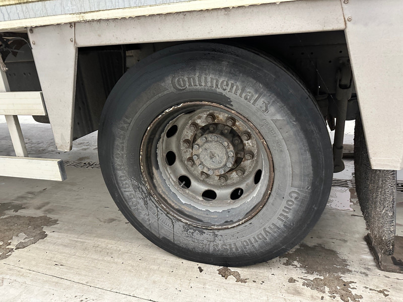 Kühlkoffer LKW MAN TGM 18.250: das Bild 9