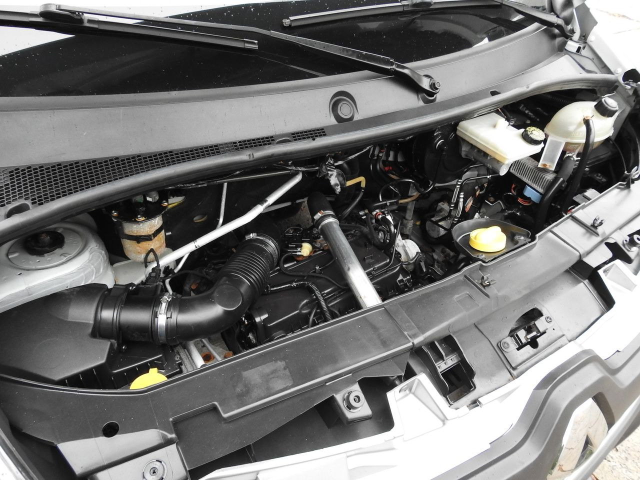 Planen Transporter RENAULT MASTER: das Bild 27 Planen Transporter RENAULT MASTER: das Bild 27