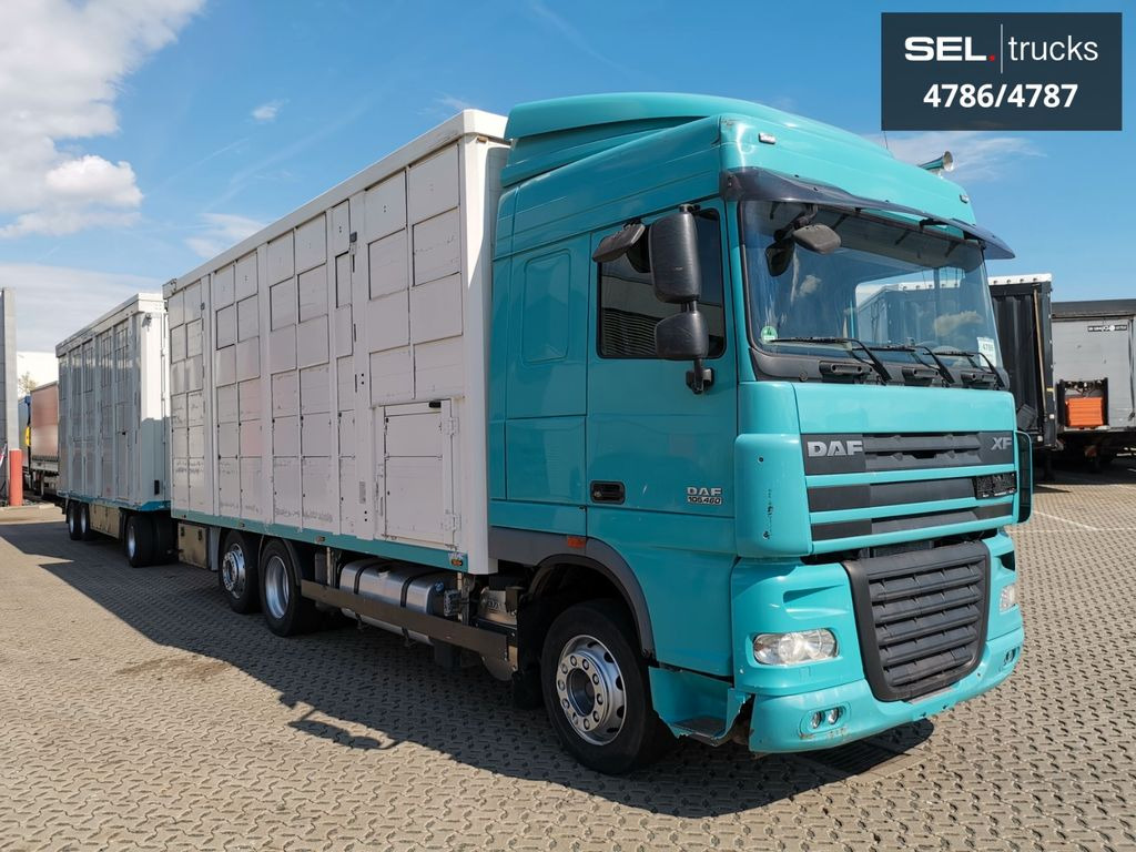 DAF XF 105.460 / Intarder / 4 Stock / KOMPLETT ! DAF XF 105.460 / Intarder / 4 Stock / KOMPLETT ! - Tiertransporter LKW: das Bild 4 DAF XF 105.460 / Intarder / 4 Stock / KOMPLETT ! DAF XF 105.460 / Intarder / 4 Stock / KOMPLETT ! - Tiertransporter LKW: das Bild 4