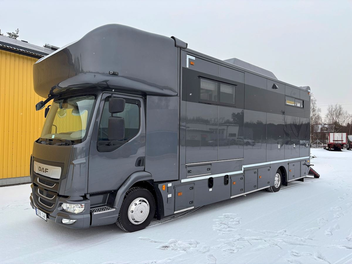 DAF Lehel horsebox 210 LF - Pferdetransporter: das Bild 5 DAF Lehel horsebox 210 LF - Pferdetransporter: das Bild 5