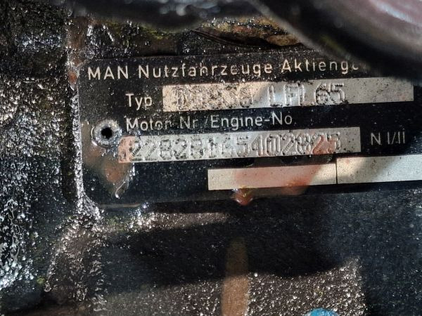 MAN D0836 LFL65 Engine (Truck) - Motor für LKW: das Bild 2 MAN D0836 LFL65 Engine (Truck) - Motor für LKW: das Bild 2