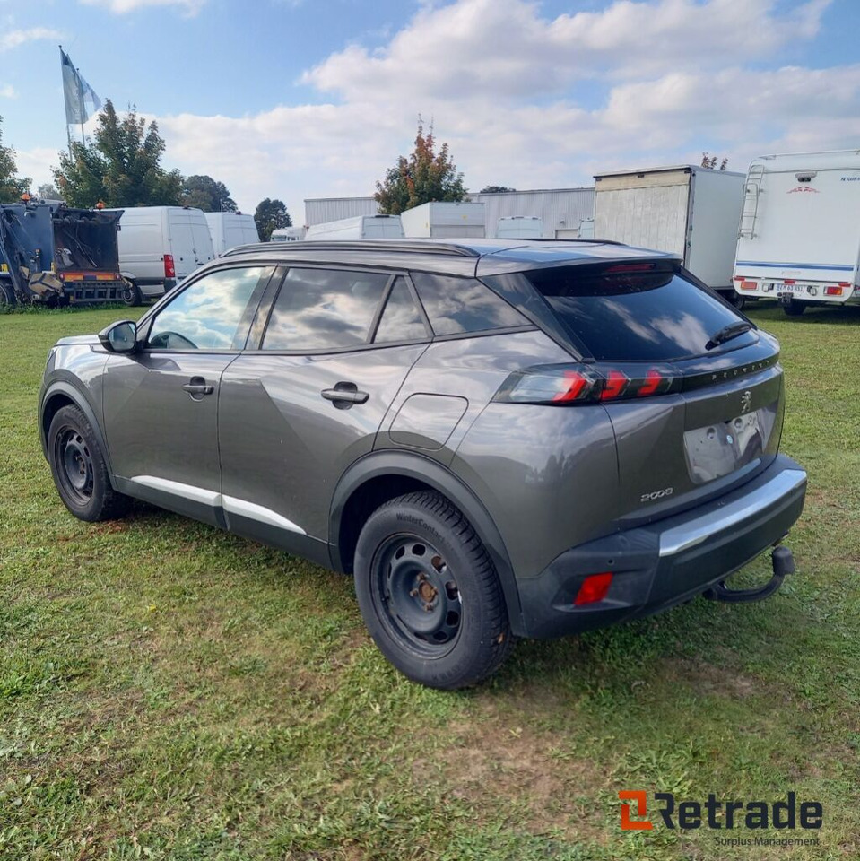 PKW Peugeot 2008 SUV Blue Tdi 110: das Bild 8 PKW Peugeot 2008 SUV Blue Tdi 110: das Bild 8