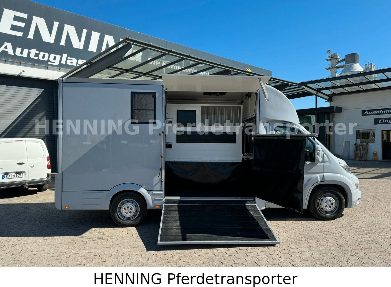 Citroën Jumper 3 - Sitzer *AUFBAU NEU* - Pferdetransporter: das Bild 5 Citroën Jumper 3 - Sitzer *AUFBAU NEU* - Pferdetransporter: das Bild 5